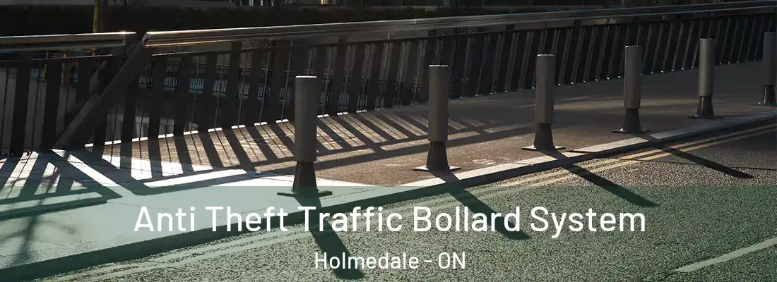 Anti Theft Traffic Bollard System Holmedale - ON
