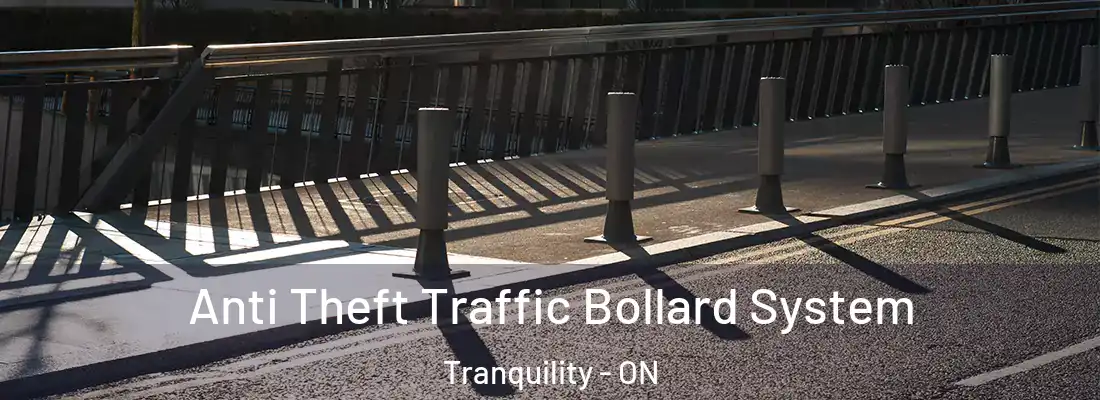 Anti Theft Traffic Bollard System Tranquility - ON