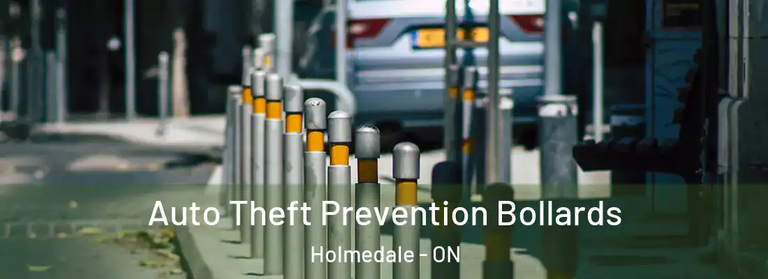 Auto Theft Prevention Bollards Holmedale - ON