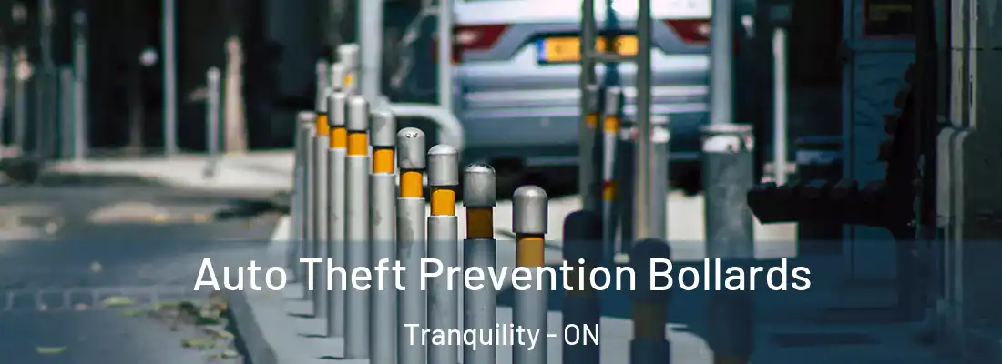 Auto Theft Prevention Bollards Tranquility - ON