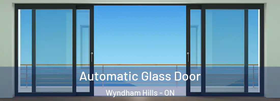 Automatic Glass Door Wyndham Hills - ON