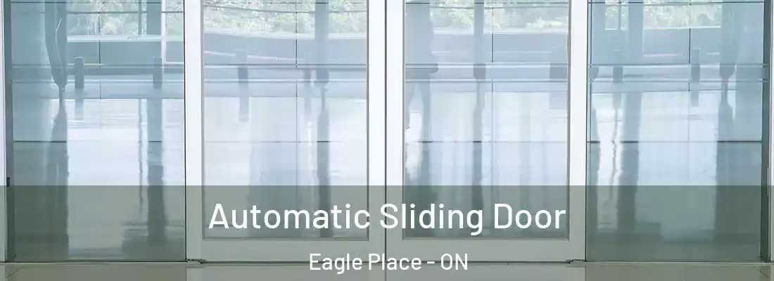  Automatic Sliding Door Eagle Place - ON