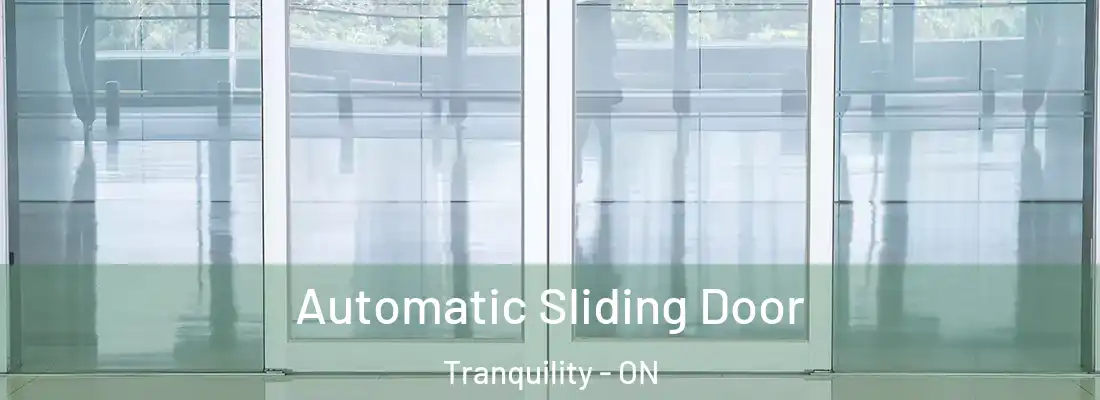 Automatic Sliding Door Tranquility - ON