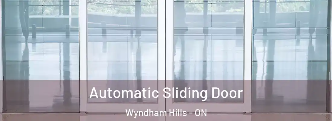 Automatic Sliding Door Wyndham Hills - ON