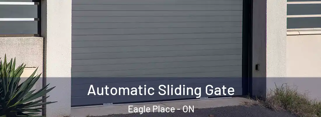  Automatic Sliding Gate Eagle Place - ON