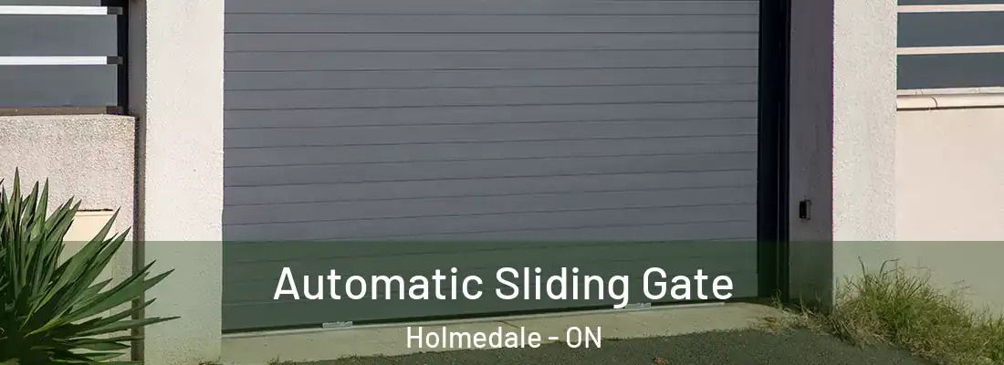 Automatic Sliding Gate Holmedale - ON