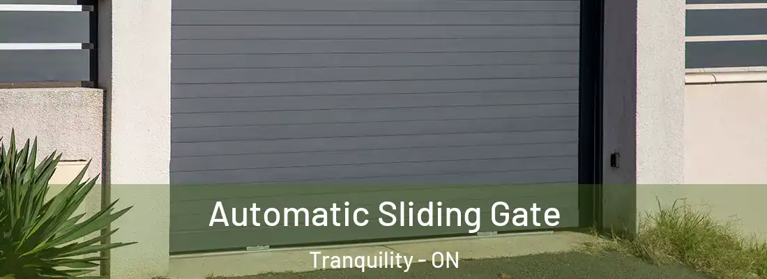 Automatic Sliding Gate Tranquility - ON