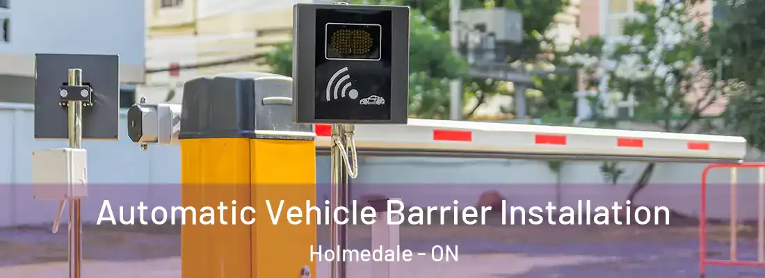 Automatic Vehicle Barrier Installation Holmedale - ON