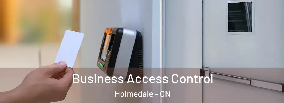 Business Access Control Holmedale - ON