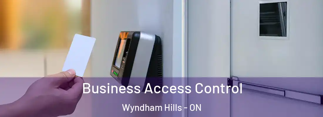 Business Access Control Wyndham Hills - ON