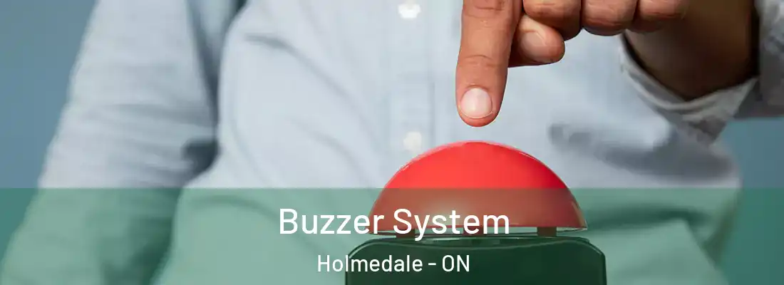 Buzzer System Holmedale - ON