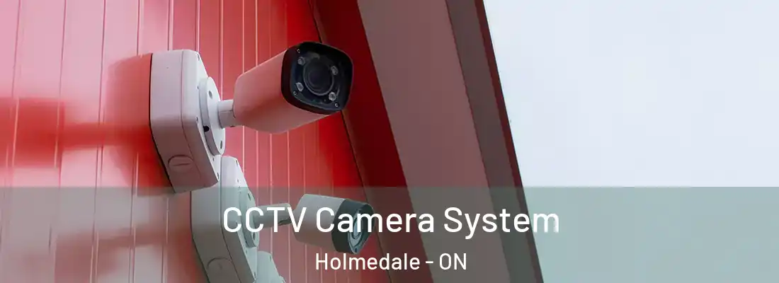 CCTV Camera System Holmedale - ON