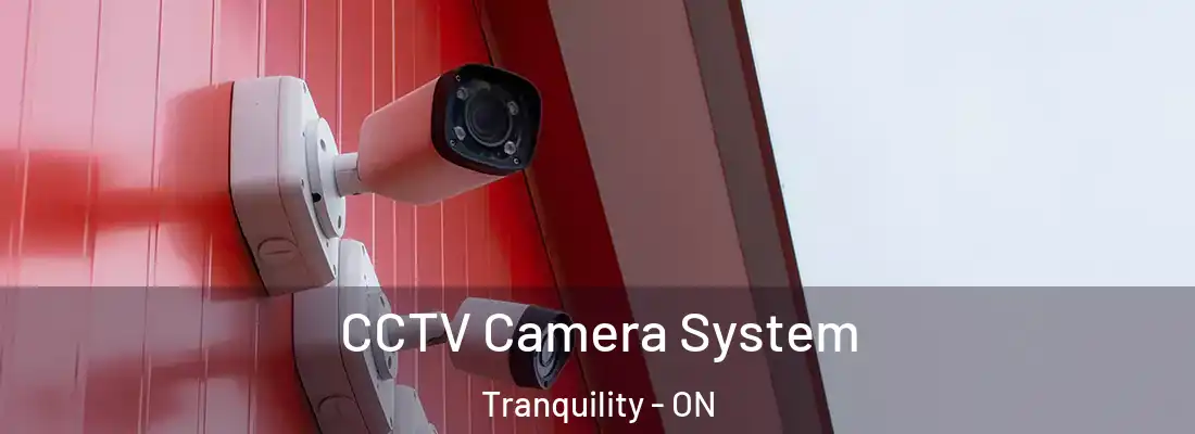 CCTV Camera System Tranquility - ON