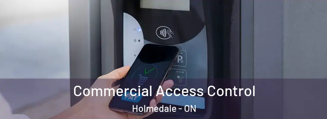 Commercial Access Control Holmedale - ON