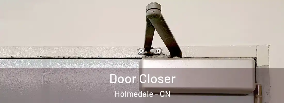 Door Closer Holmedale - ON