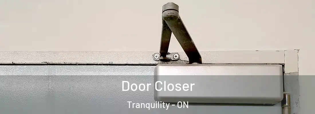 Door Closer Tranquility - ON