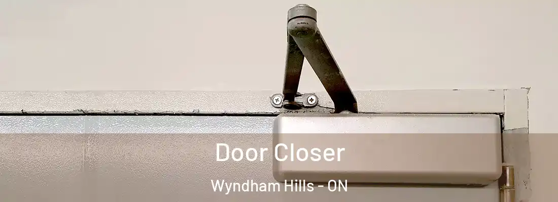 Door Closer Wyndham Hills - ON