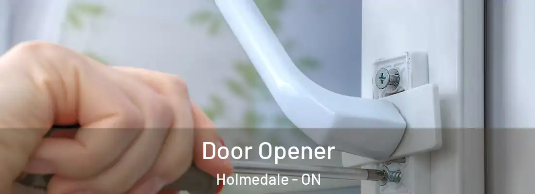 Door Opener Holmedale - ON