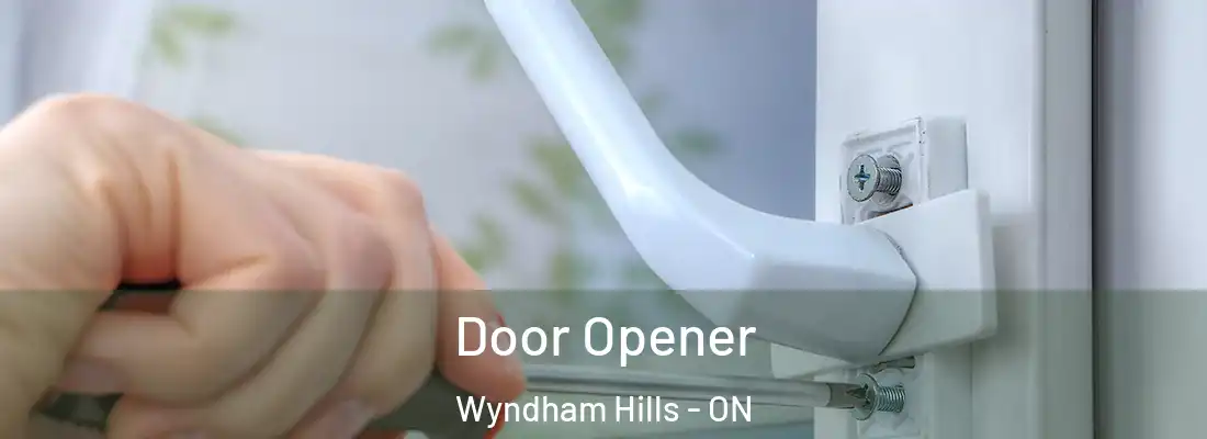 Door Opener Wyndham Hills - ON