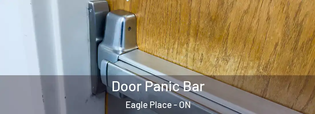 Door Panic Bar Eagle Place - ON