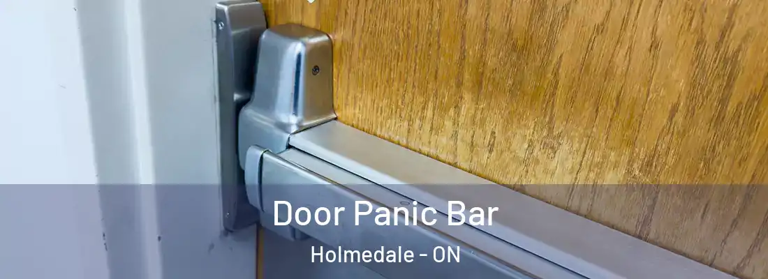Door Panic Bar Holmedale - ON