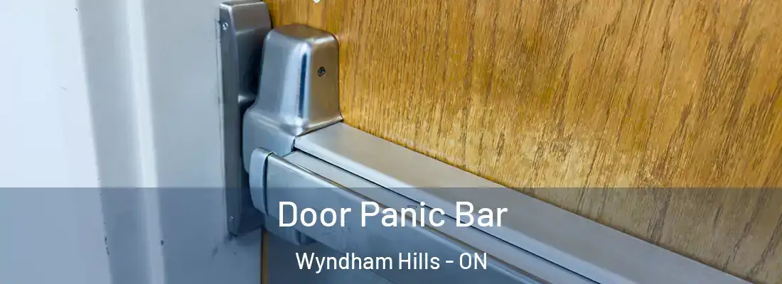 Door Panic Bar Wyndham Hills - ON