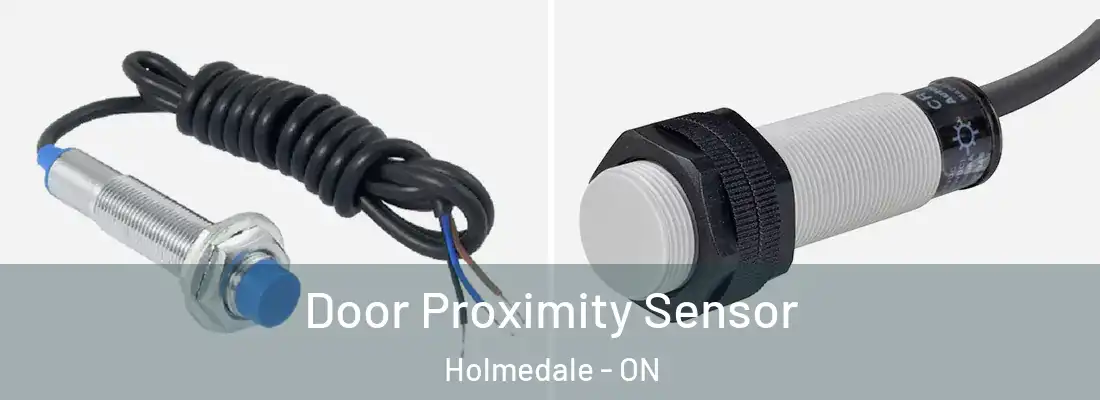 Door Proximity Sensor Holmedale - ON