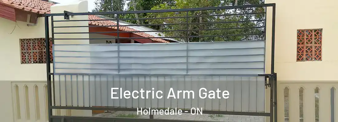 Electric Arm Gate Holmedale - ON