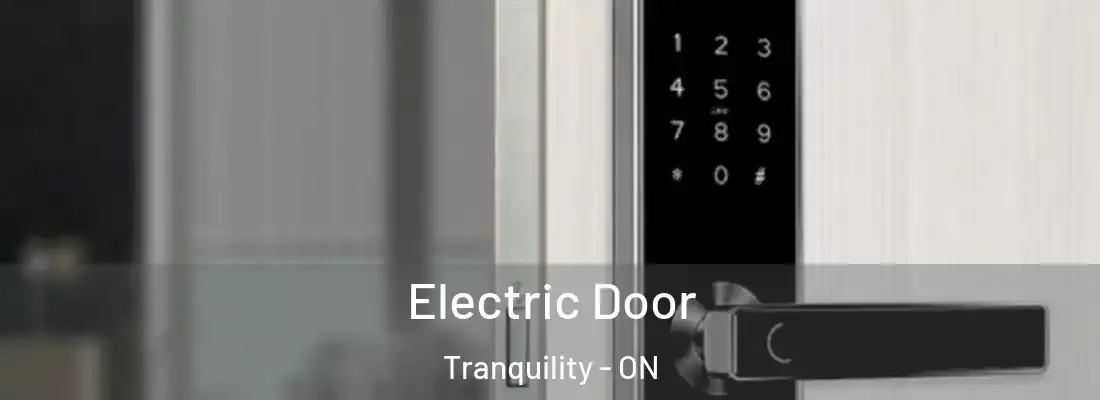 Electric Door Tranquility - ON