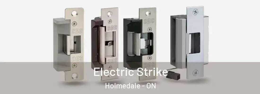 Electric Strike Holmedale - ON