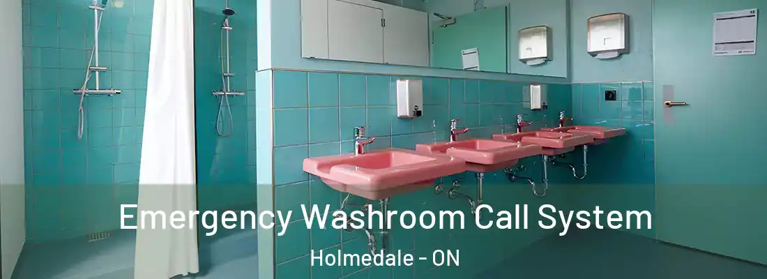 Emergency Washroom Call System Holmedale - ON