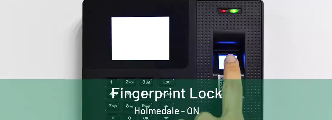 Fingerprint Lock Holmedale - ON