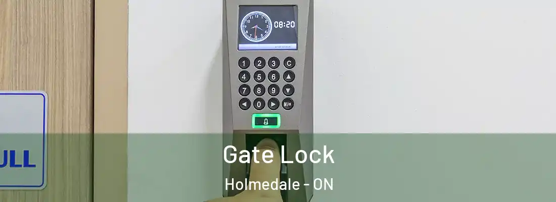 Gate Lock Holmedale - ON