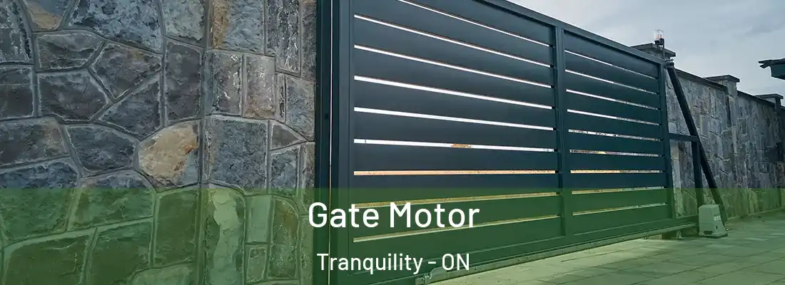 Gate Motor Tranquility - ON