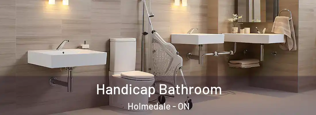 Handicap Bathroom Holmedale - ON