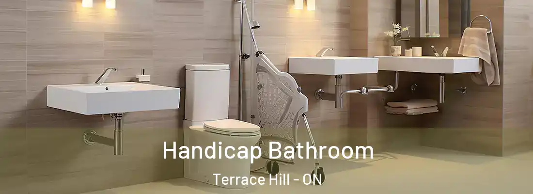 Handicap Bathroom Terrace Hill - ON