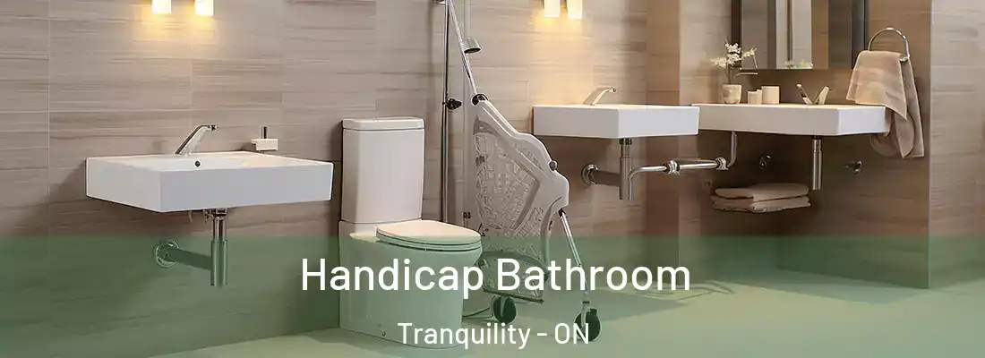 Handicap Bathroom Tranquility - ON