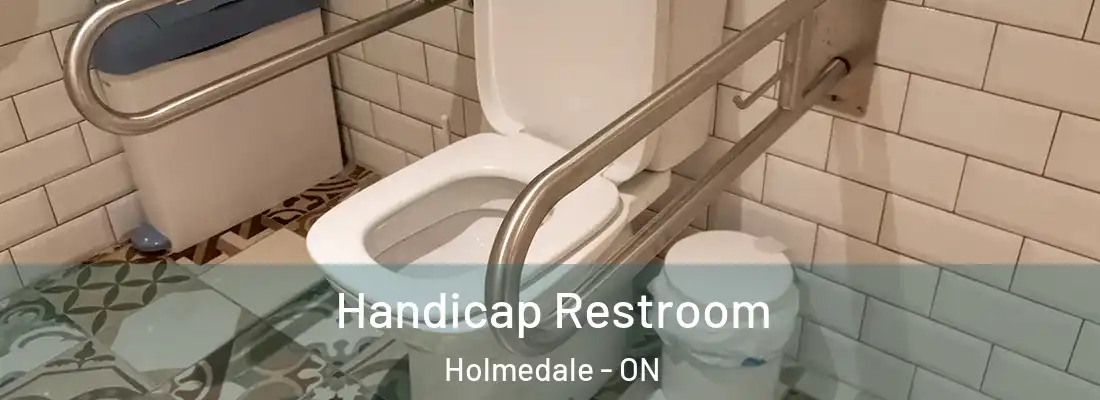 Handicap Restroom Holmedale - ON