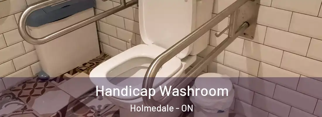 Handicap Washroom Holmedale - ON