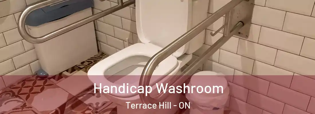 Handicap Washroom Terrace Hill - ON