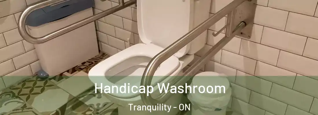 Handicap Washroom Tranquility - ON
