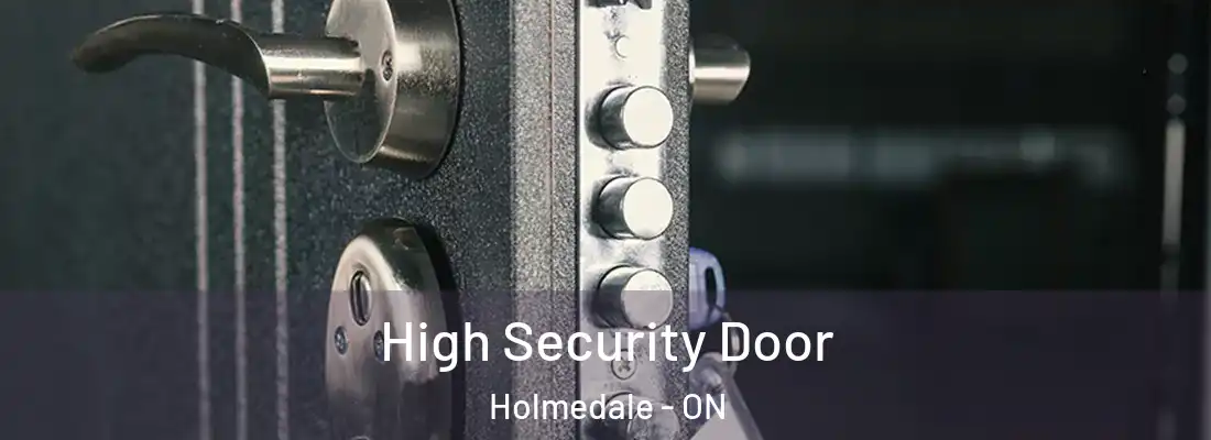 High Security Door Holmedale - ON