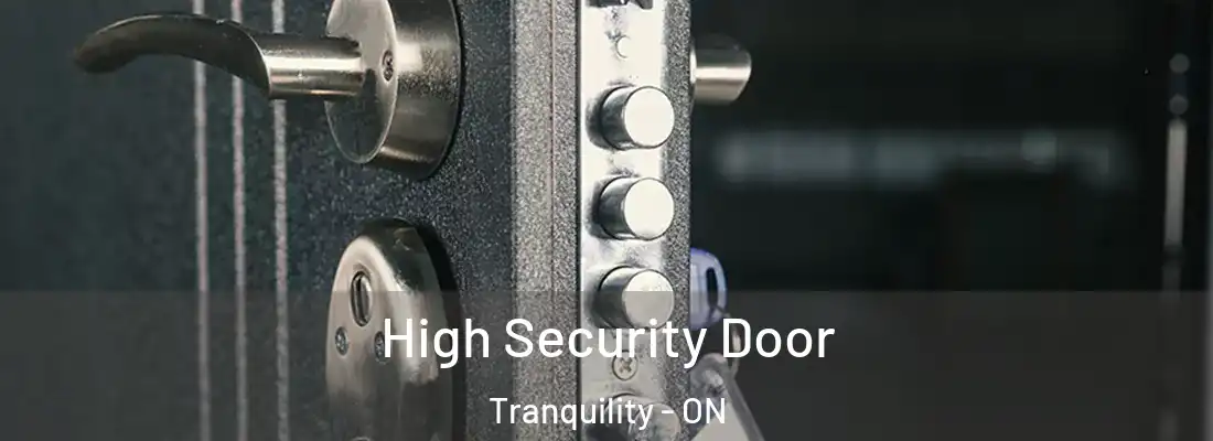  High Security Door Tranquility - ON