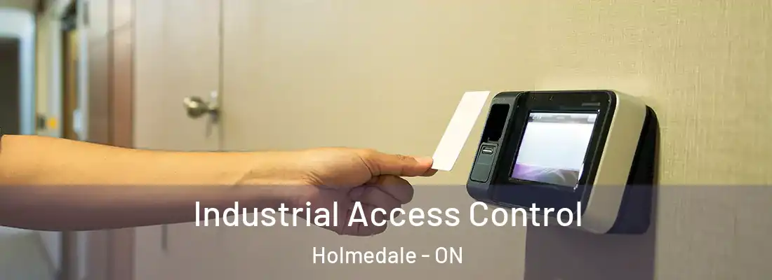 Industrial Access Control Holmedale - ON