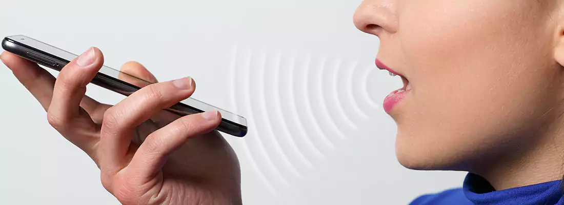 Residential and Commercial Voice Recognition Access Solutions in Brantford, ON