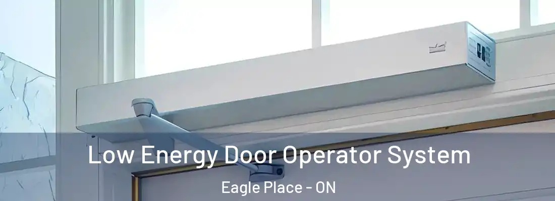 Low Energy Door Operator System Eagle Place - ON