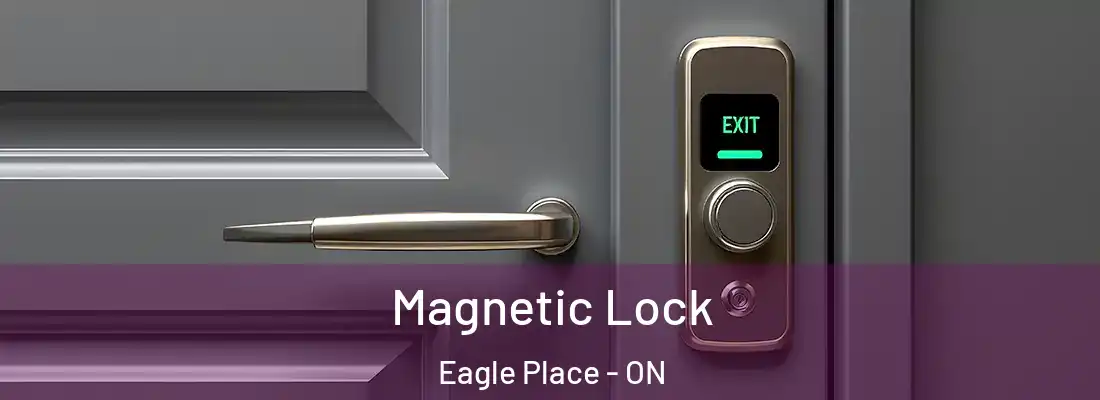 Magnetic Lock Eagle Place - ON