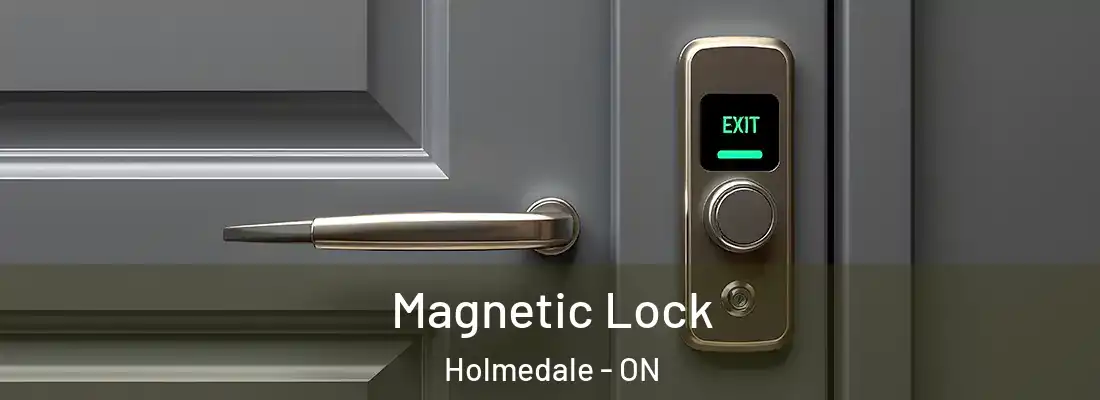 Magnetic Lock Holmedale - ON