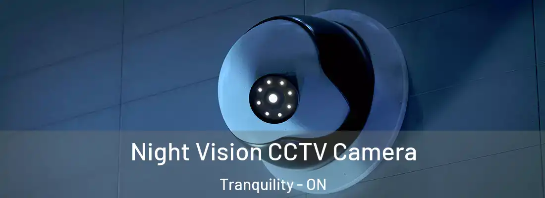 Night Vision CCTV Camera Tranquility - ON