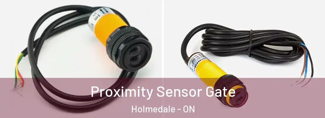 Proximity Sensor Gate Holmedale - ON